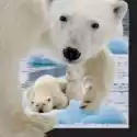 Worth Keeping  Magnes 3D Niedźwiedź Polarny Z Młodym 