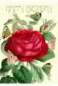 Madame Treacle Karnet B6 Brokat Z Kopertą Urodziny Róża