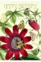 Karnet B6 Brokat Z Kopertą Urodziny Passiflora