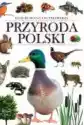 Ilustrowana Encyklopedia. Przyroda Polski