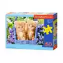  Puzzle 60 El. Ginger Kittens Castorland
