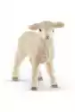 Mała Owieczka Saszetka