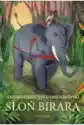 Słoń Birara