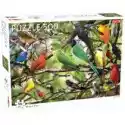  Puzzle 500 El. Animals. Exotic Birds Tactic