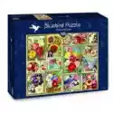  Puzzle 1500 El. Kolorowe Kwiaty Bluebird Puzzle
