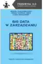 Big Data W Zarządzaniu