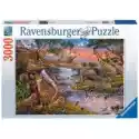 Ravensburger  Puzzle 3000 El. Królestwo Zwięrząt 16465 Ravensburger