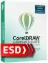 Coreldraw Graphics Suite Special Edition 2021 Pl Esd - Legalny P