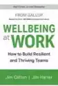Wellbeing At Work