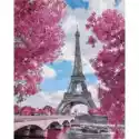 Twoje Hobby Malowanie Po Numerach. Magnolie W Paryżu 40 X 50 Cm