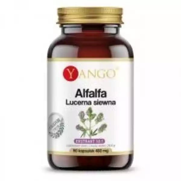 Yango Alfalfa - Lucerna Siewna Suplement Diety 60 Kaps.