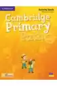 Cambridge Primary Path Foundation Level Activity Book With Pract