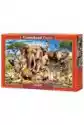 Castorland Puzzle 1500 El. Savanna Animals