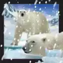 Worth Keeping  Magnes 3D Niedźwiedzie Polarne W Śniegu 