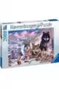 Ravensburger Puzzle 2000 El. Wilki W Śniegu