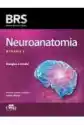 Neuroanatomia Brs