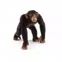 Schleich  Szympans Samiec 