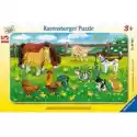  Puzzle 15 El. Zwierzęta Domowe Ravensburger