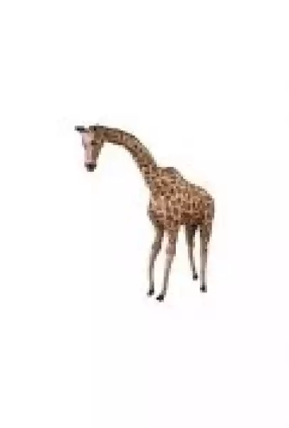 Żyrafa Gigant 66 Cm