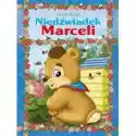  Niedźwiadek Marceli 