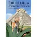  Chihuahua Powrót Do Techichi 