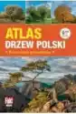 Atlas Drzew Polski. Przewodnik Przyrodnika