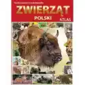  Ilustrowana Encyklopedia Zwierząt Polski 