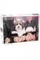 Puzzle 500 El. Animals. Yorkshire Terrier With Roses