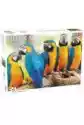 Tactic Puzzle 500 El. Animal. Parrots