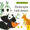 Foksal  Montessori. Zwierzęta I Ich Dzieci 