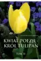 Kwiat Poezji T.2 Kwiat Poezji - Król Tulipan