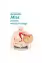Atlas Zespołu Metabolicznego