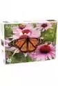 Tactic Puzzle 1000 El. Monarch Butterfly