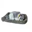Askato  Śpiący Pies Na Poduszce - Husky Askato