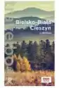 Bielsko-Biała, Cieszyn I Okolice. Travelbook