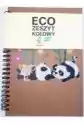 Kołozeszyt A5 Eco Panda