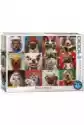 Eurographics Puzzle 1000 El. Funny Dogs By Lucia Heffernan
