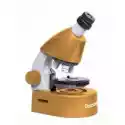 Levenhuk  Mikroskop Discovery Micro Z Książką Solar Levenhuk