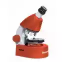 Levenhuk  Mikroskop Discovery Micro Z Książką Terra Levenhuk