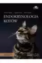 Endokrynologia Kotów