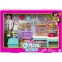  Lalka Barbie Chelsea Zestaw Weterynarz Hgt12 Mattel