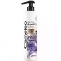 Cameleo Cameleo Anti-Yellow Effect Silver Shampoo Szampon Do Włosów Blon