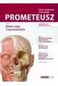 Prometeusz Atlas Anatomii Człowieka Tom Iii. Mianownictwo Angiel