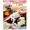 Clementoni  Naukowa Zabawa. Skamieniałości. T-Rex Fluoresc Clementoni