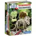 Clementoni  Naukowa Zabawa. Skamieniałości Triceratops Fluores 