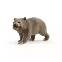 Schleich  Wombat 