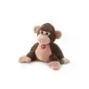  Małpka Trudi