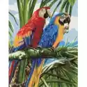 Symag Malowanie Po Numerach. Paint It! Kolorowe Papugi 