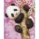 Symag Malowanie Po Numerach. Paint It! Panda Na Drzewie Wiśni 40