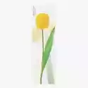 Appree Karteczki Samoprzylepne Pionowe Tulipan Żółty 40X50 Mm I 